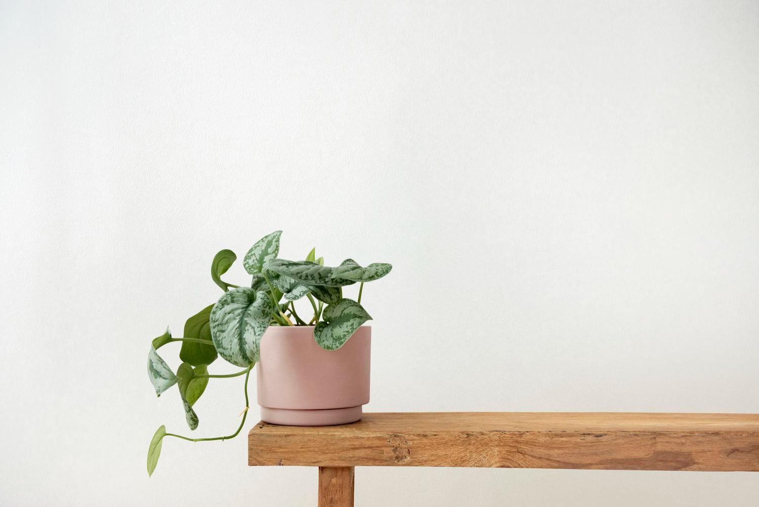 Mobilierul din lemn masiv: de ce să-l alegi pentru o casă sustenabilă