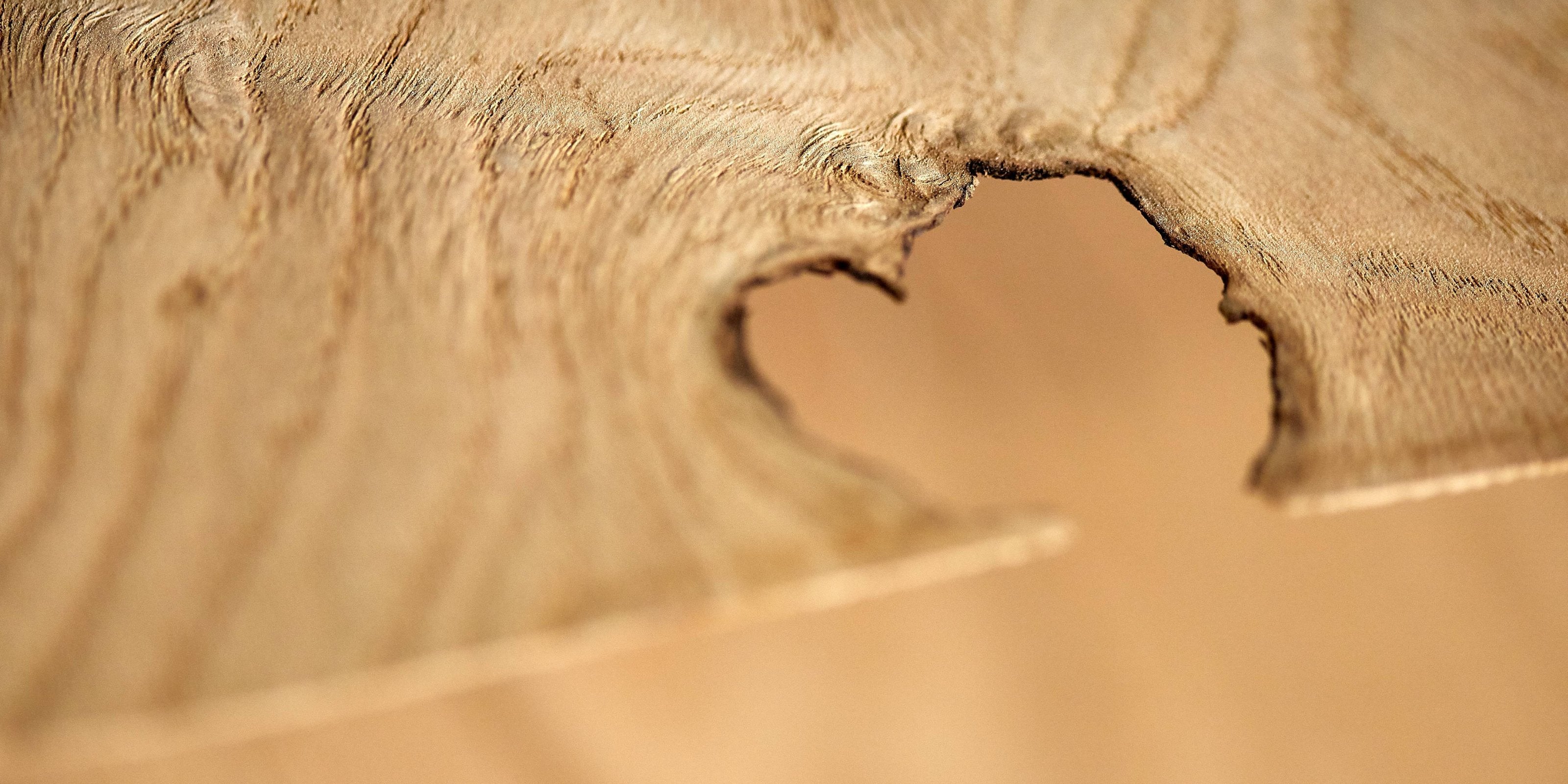 Cele mai îndrăgite produse